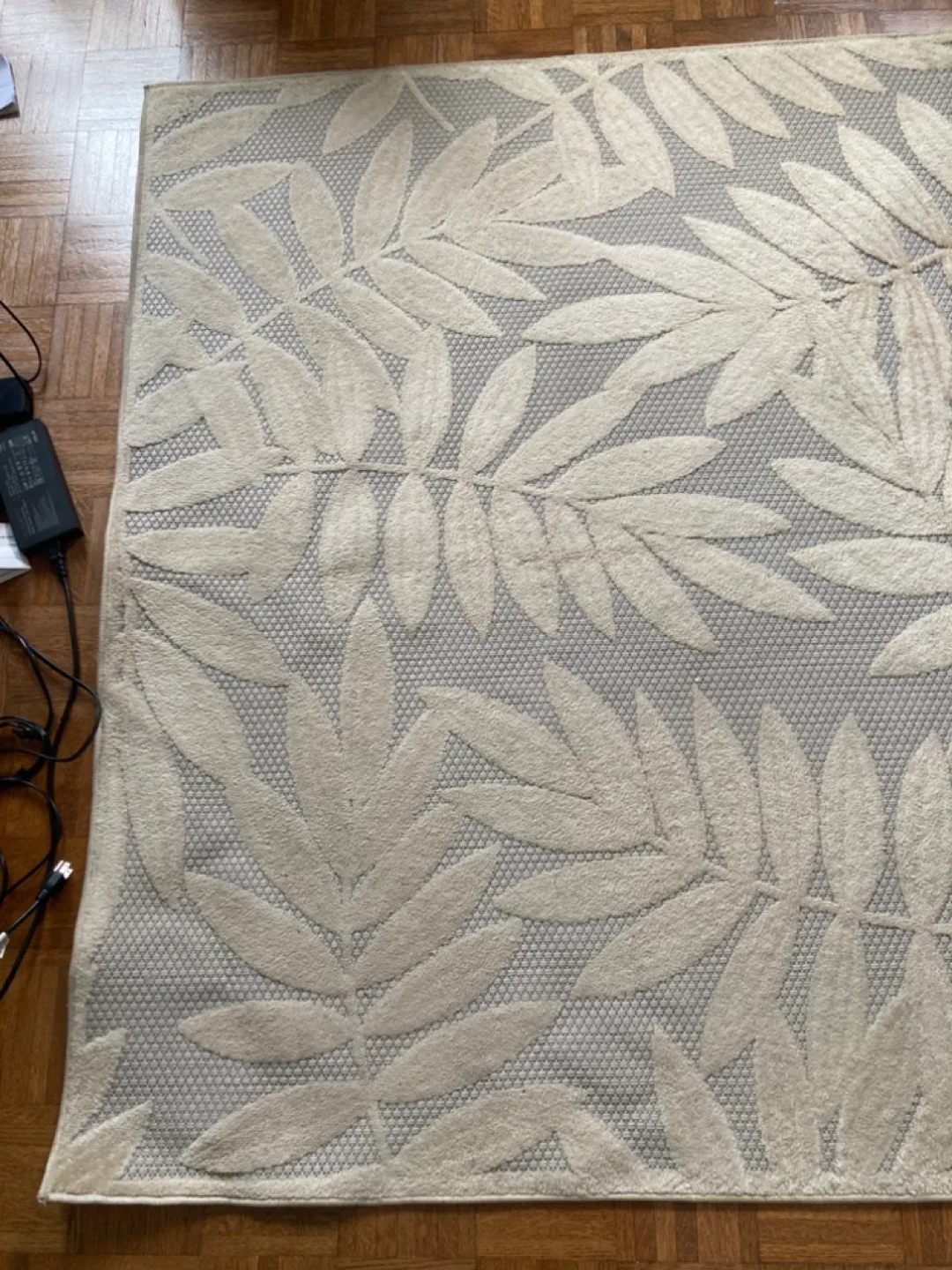 Indoor/Outdoor Area Rug image indicator(2)