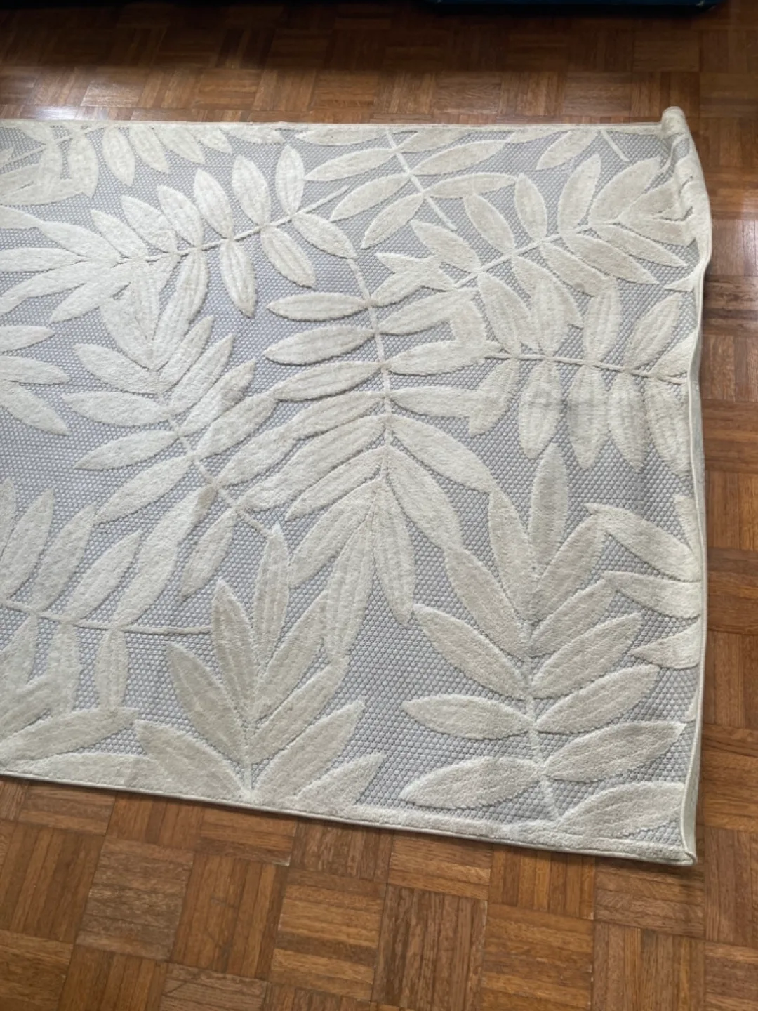 Indoor/Outdoor Area Rug image indicator(4)