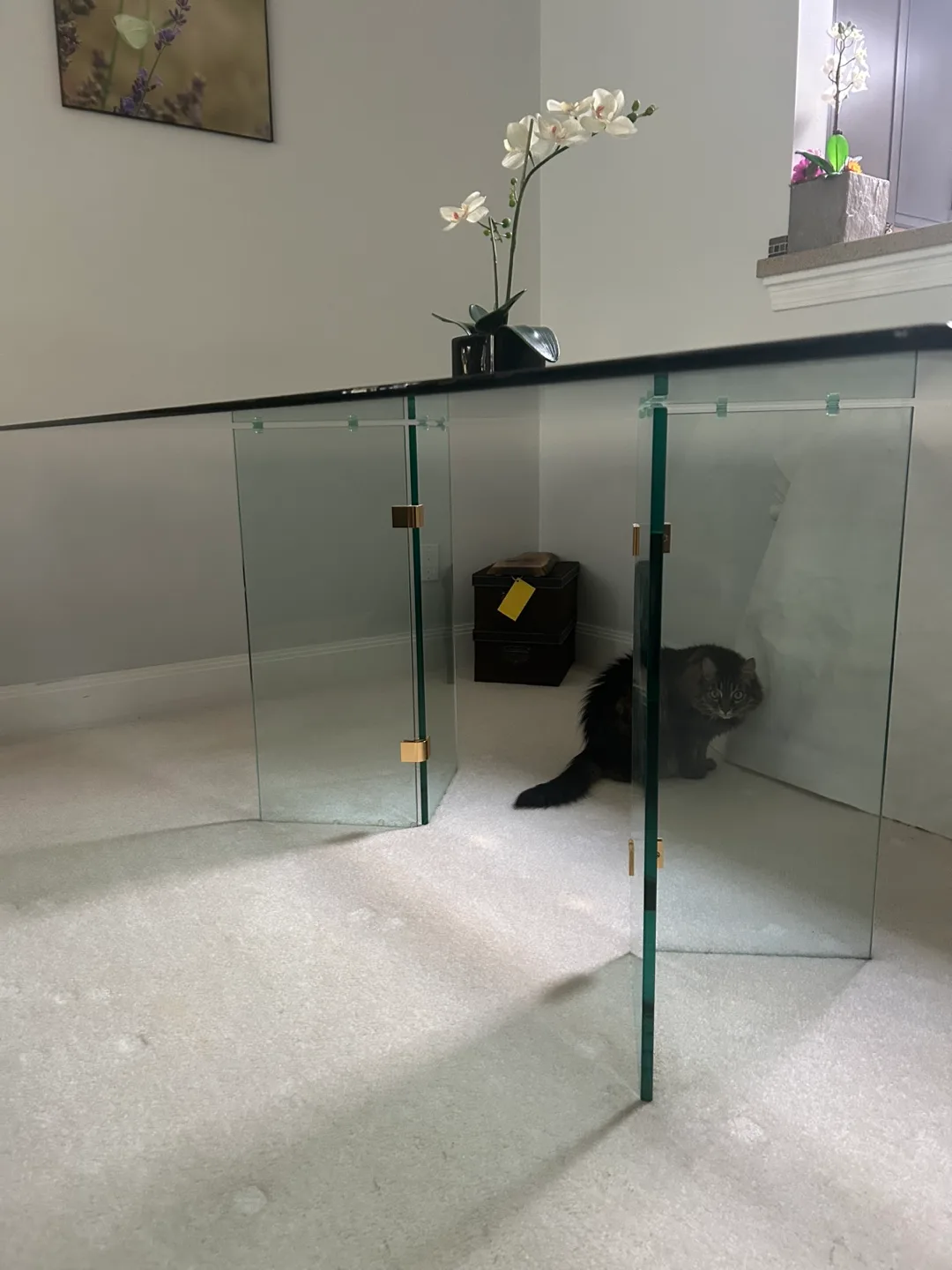 Glass Table with glass legs image indicator(3)