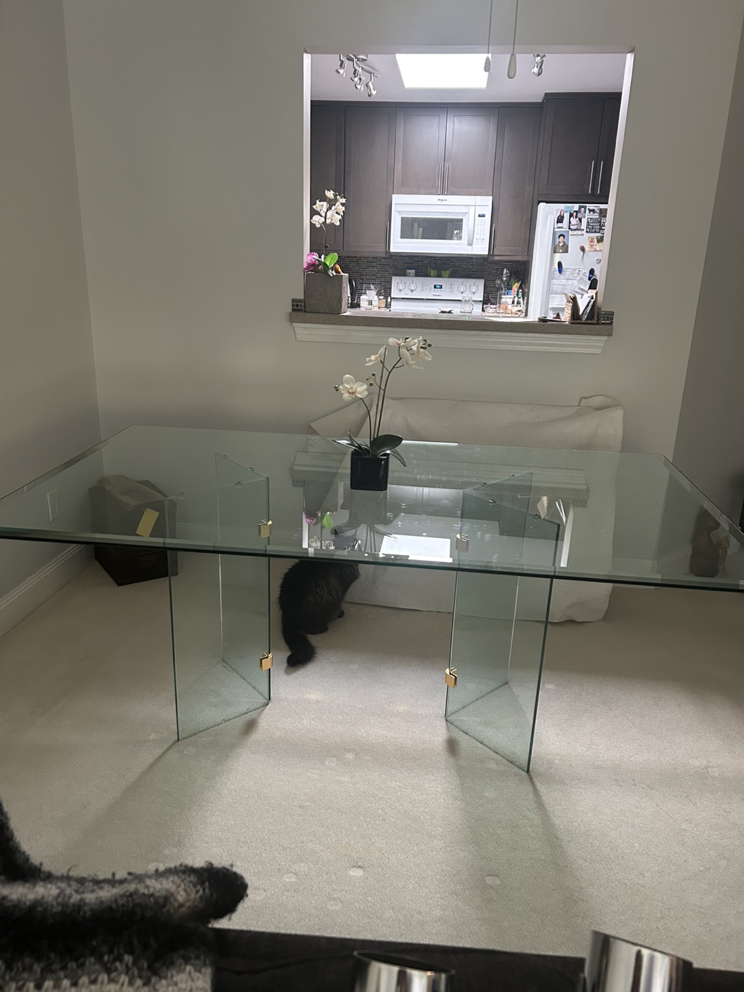 Glass Table with glass legs