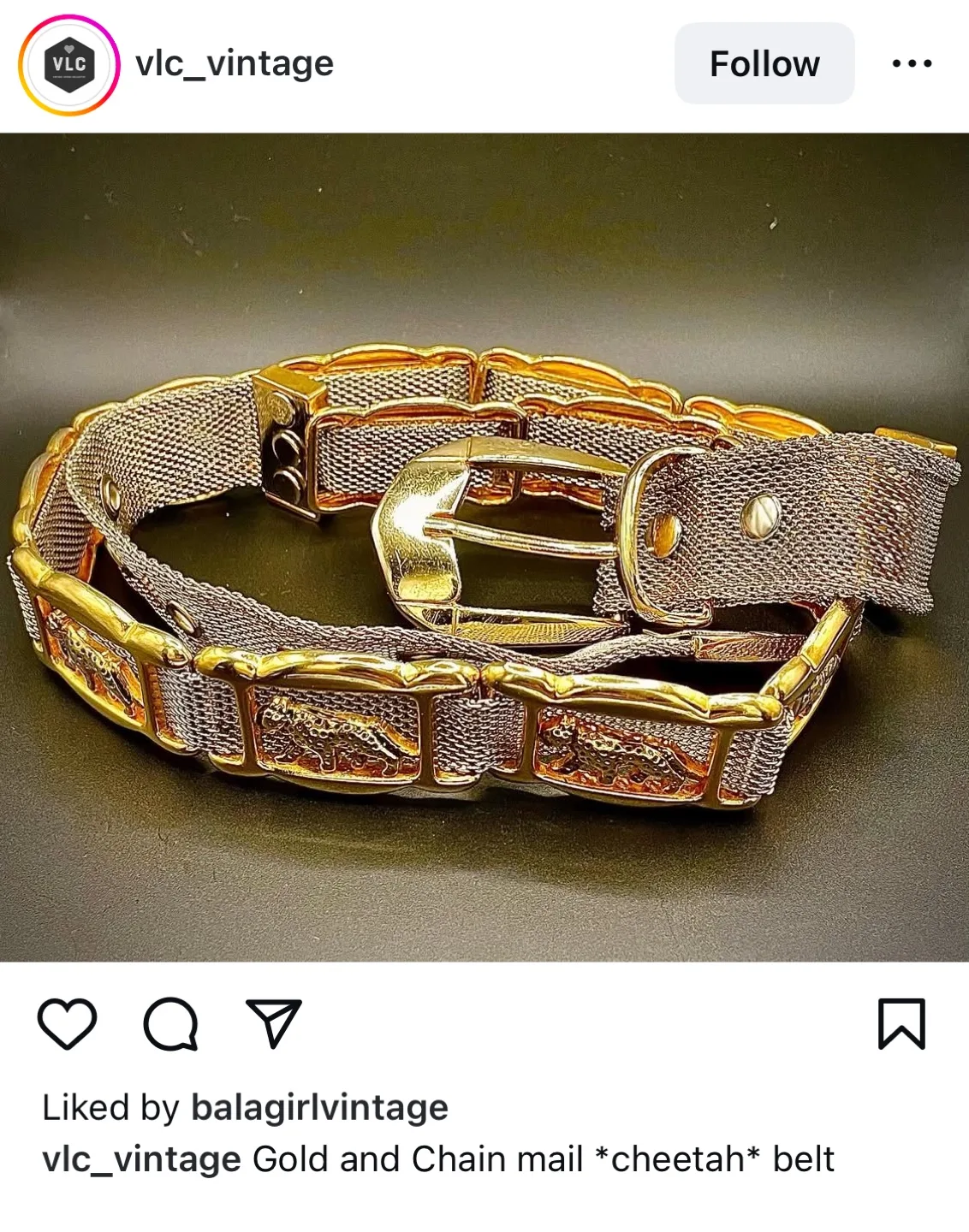 Gold mesh leopard print belt image indicator(8)