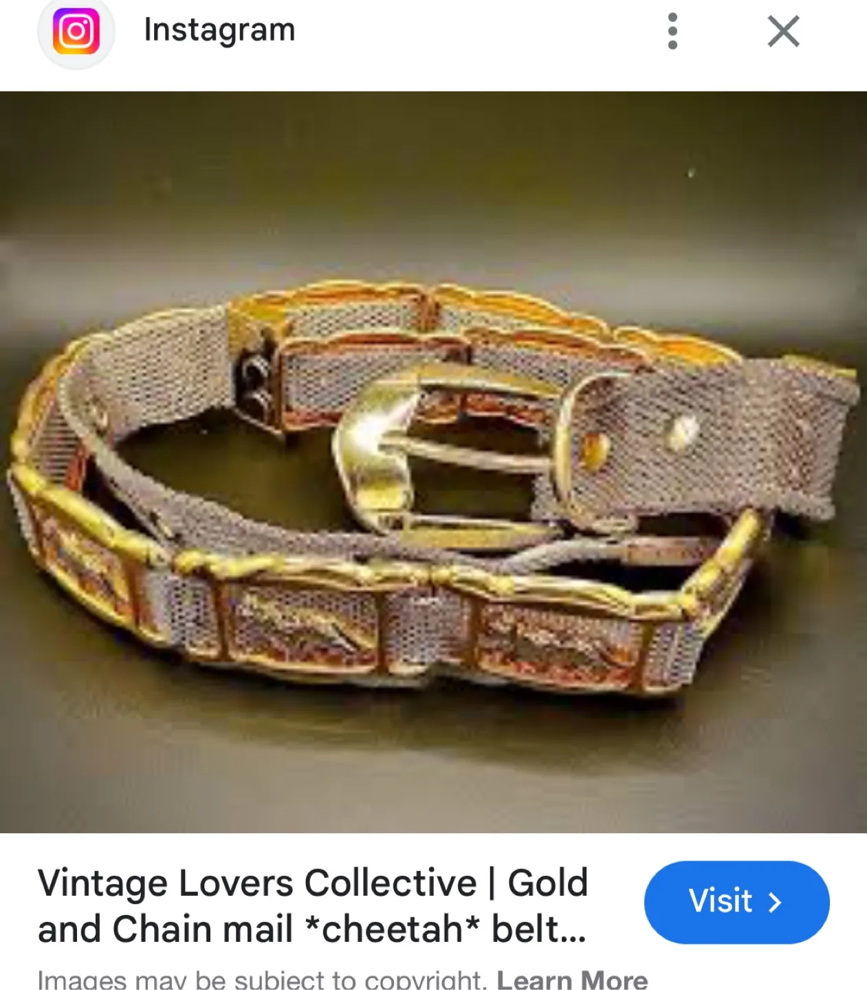 Gold mesh leopard print belt image indicator(7)