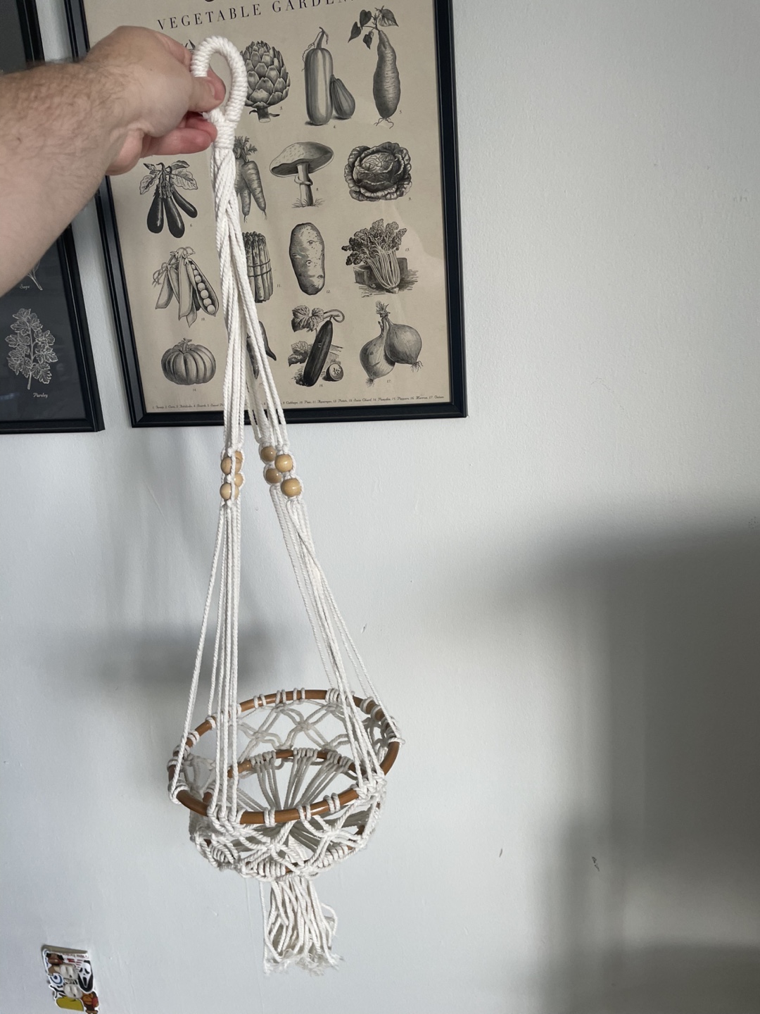 Macrame Plant Hanger