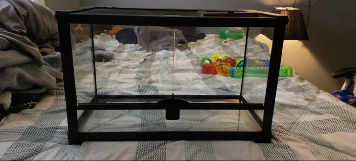 Reptile Terrarium thumbnail