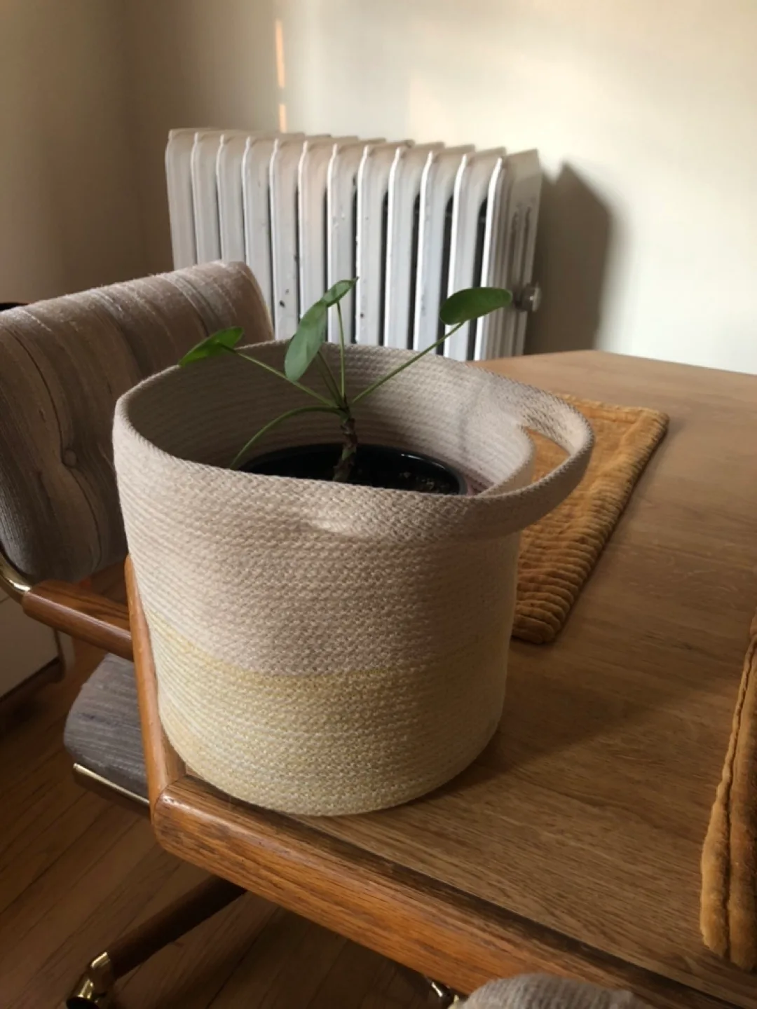 Small Rope Basket with Handles thumbnail