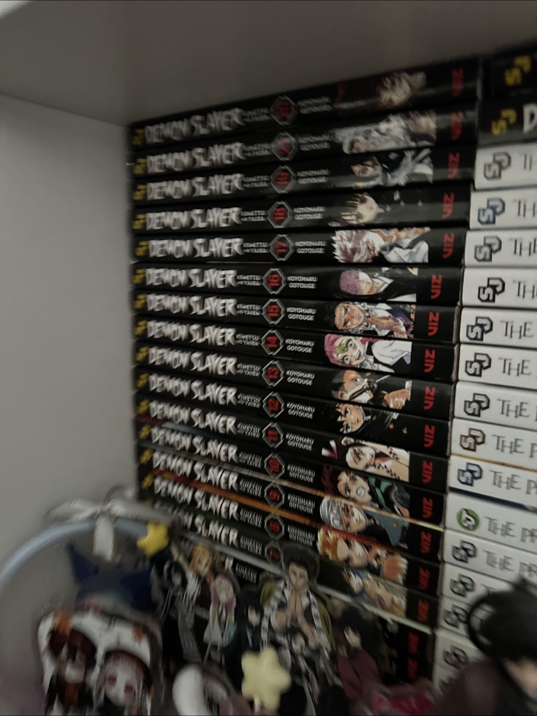 Manga Books Bundle - photo 2