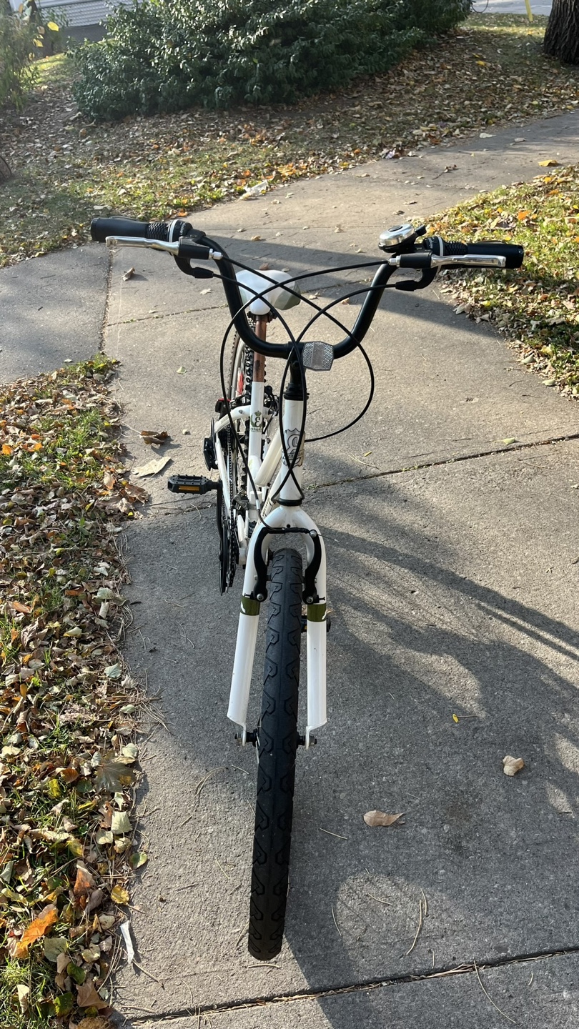 Everyday Traveller Bike - photo 3
