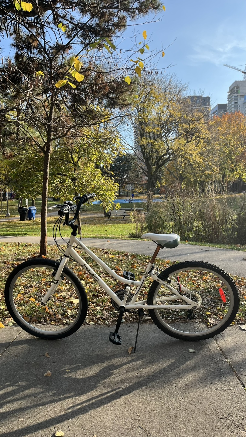 Everyday Traveller Bike - photo 4