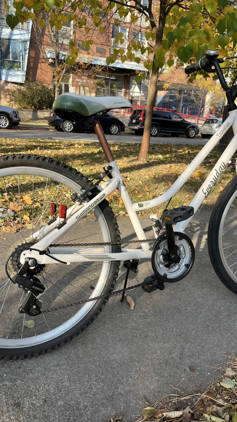 Everyday Traveller Bike - photo 5