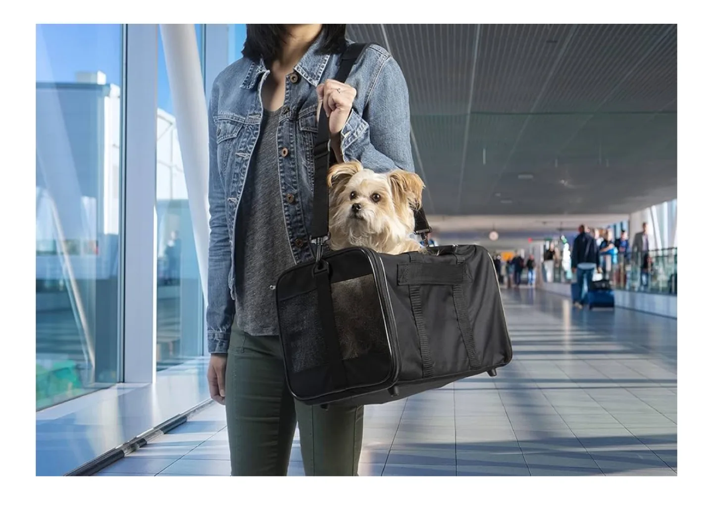 Black Pet Carrier image indicator(2)