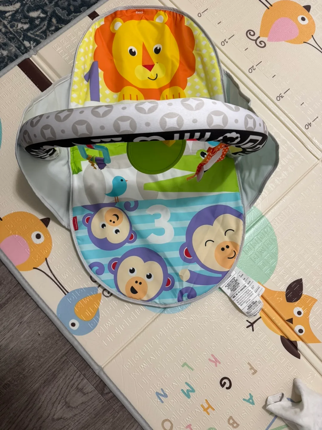 Fisher-Price Baby Play Gym -New and never used thumbnail