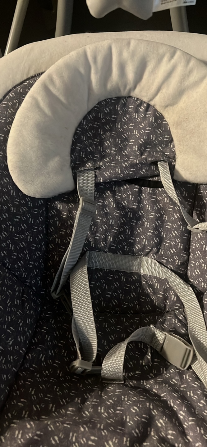 Graco Baby Swing