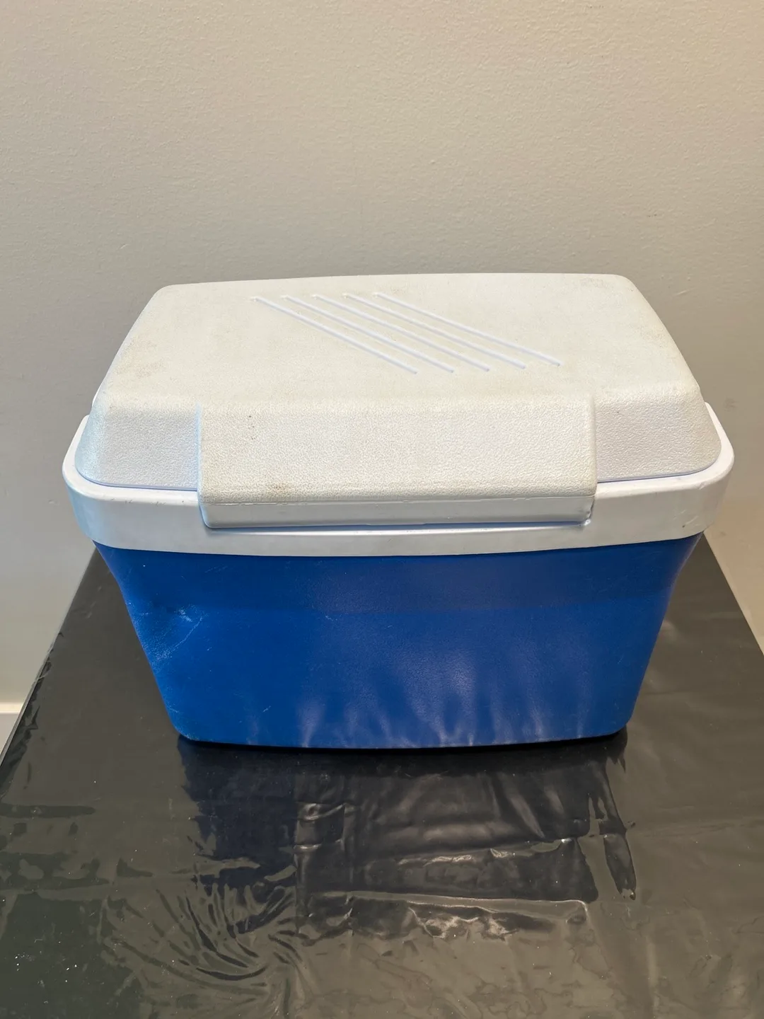 Rubbermaid Blue and White Cooler image indicator(3)