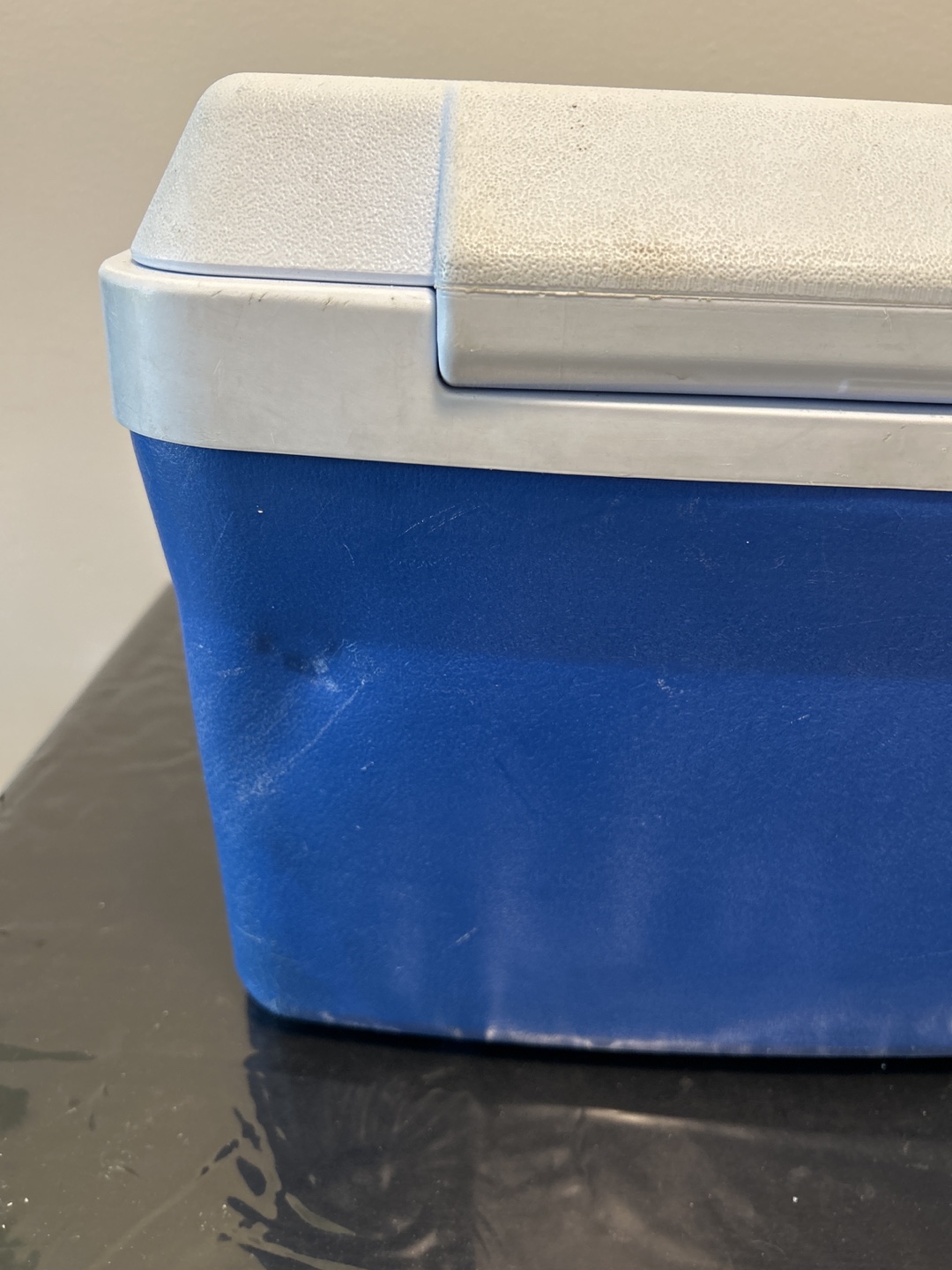 Rubbermaid Blue and White Cooler - photo 5