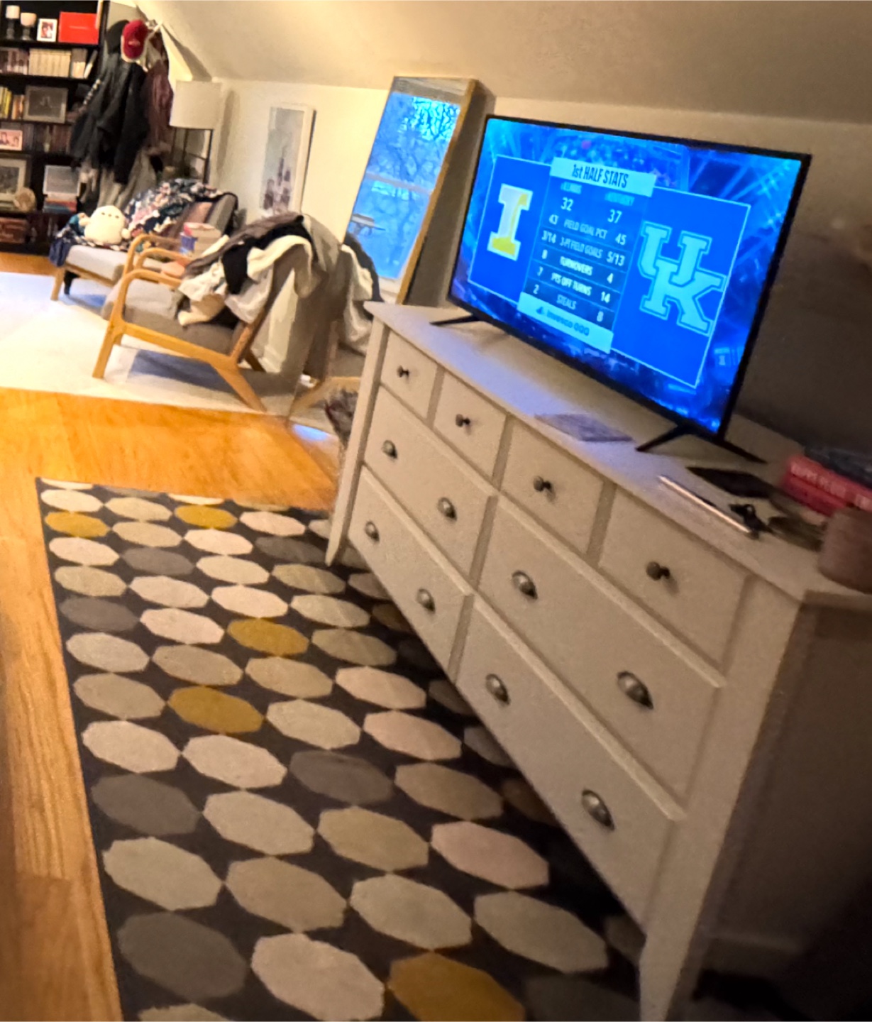 IKEA Area Rug