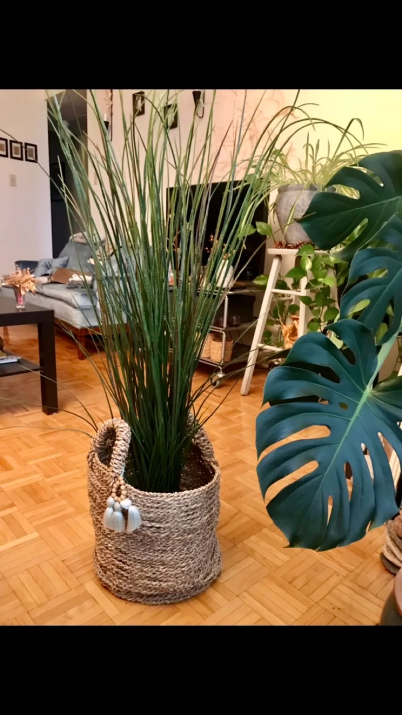 Beautiful Seagrass Basket- for cosy blanket, plant, pillows image indicator(2)