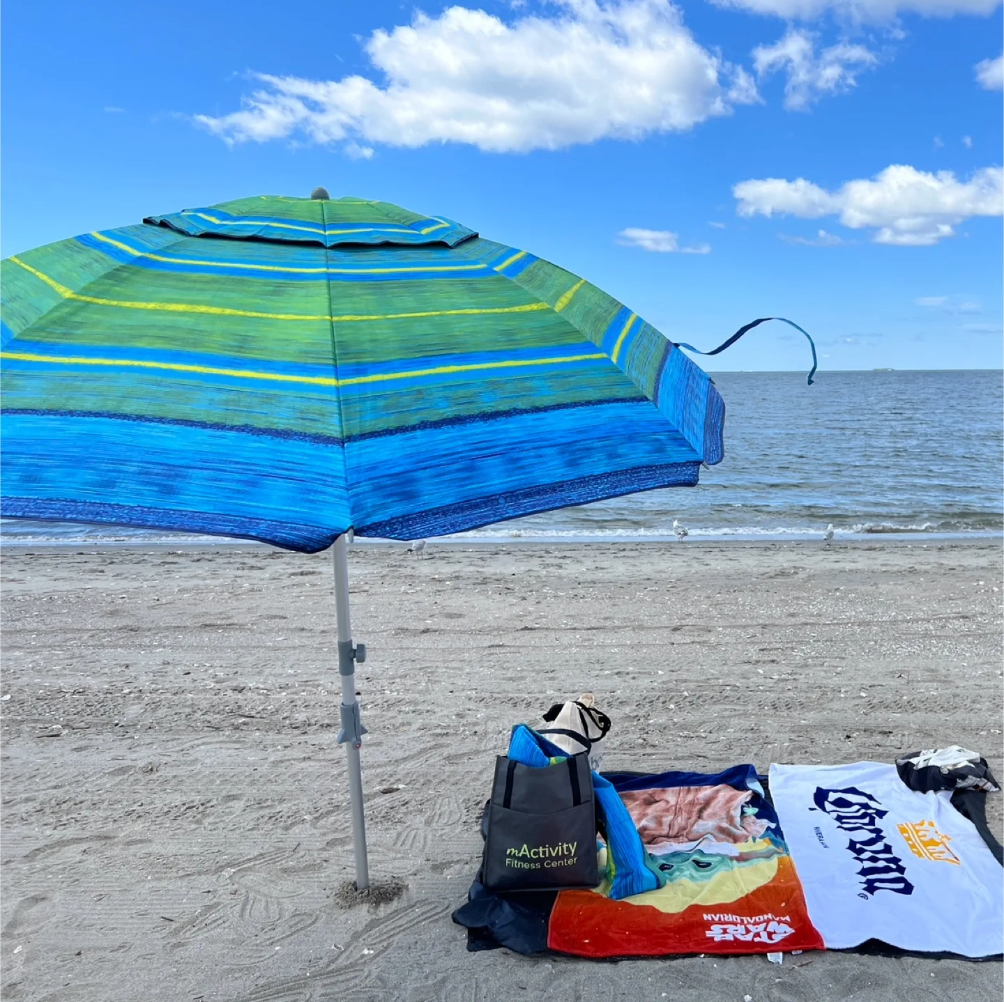 Beach Umbrella with Carry Bag thumbnail