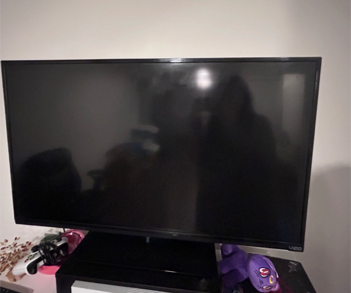 Vizio TV