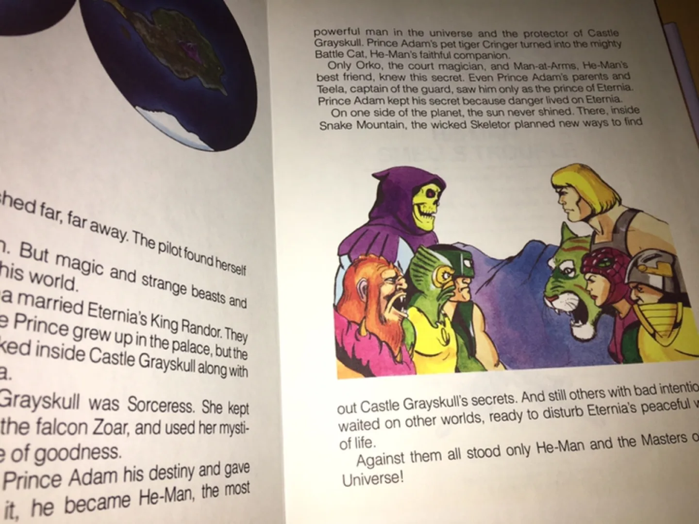 ($10 each) Hardcover He-Man and Hardcover She-Ra Books image indicator(4)