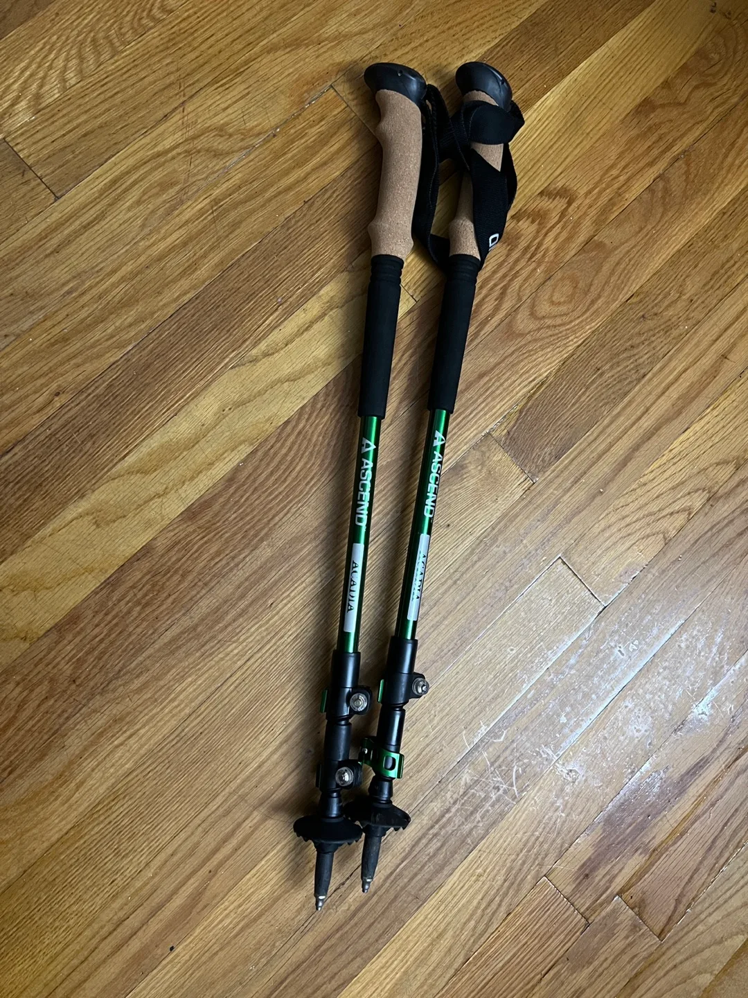 Ascend Acadia Trekking Poles thumbnail