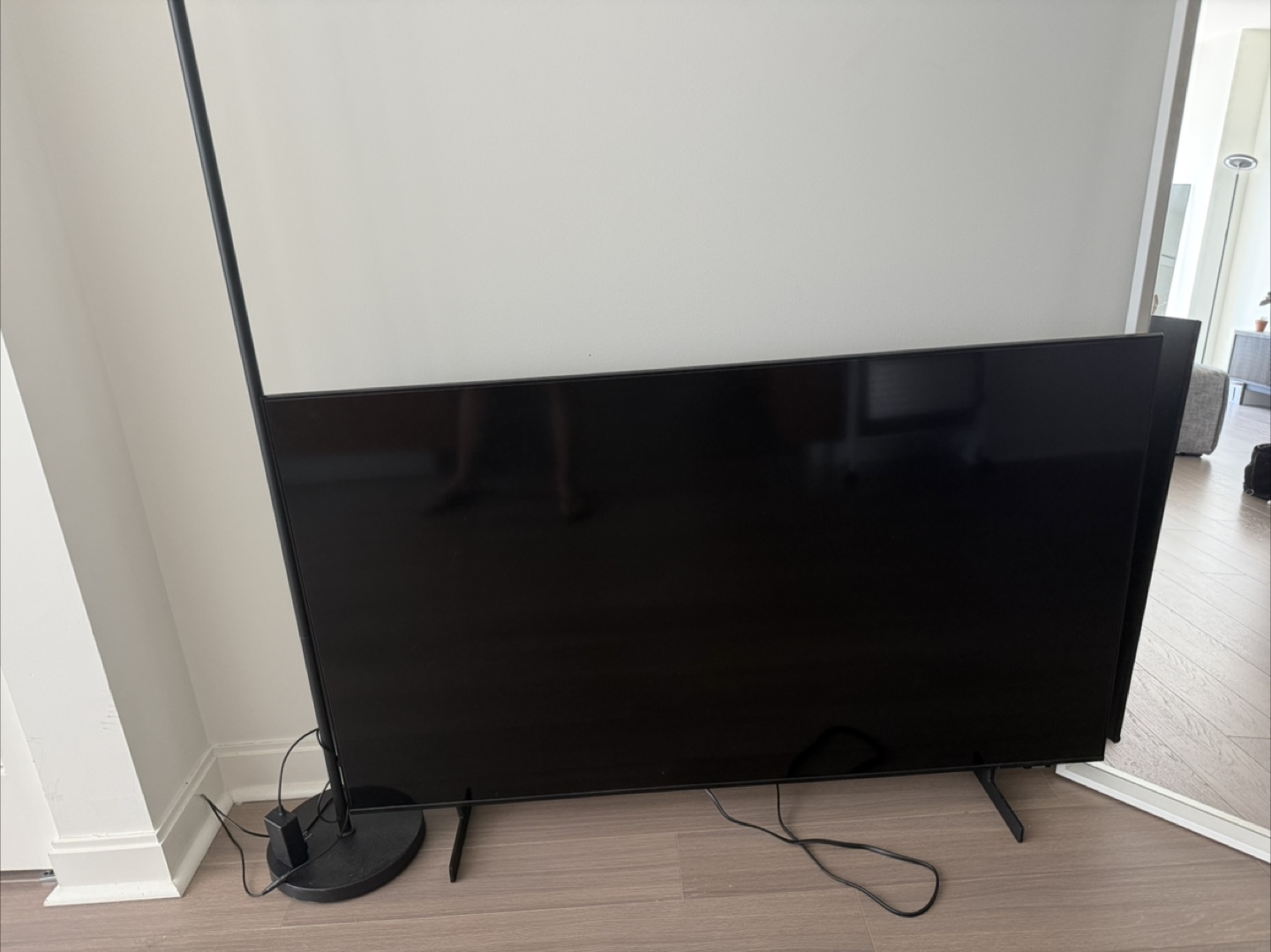 Large Screen Television