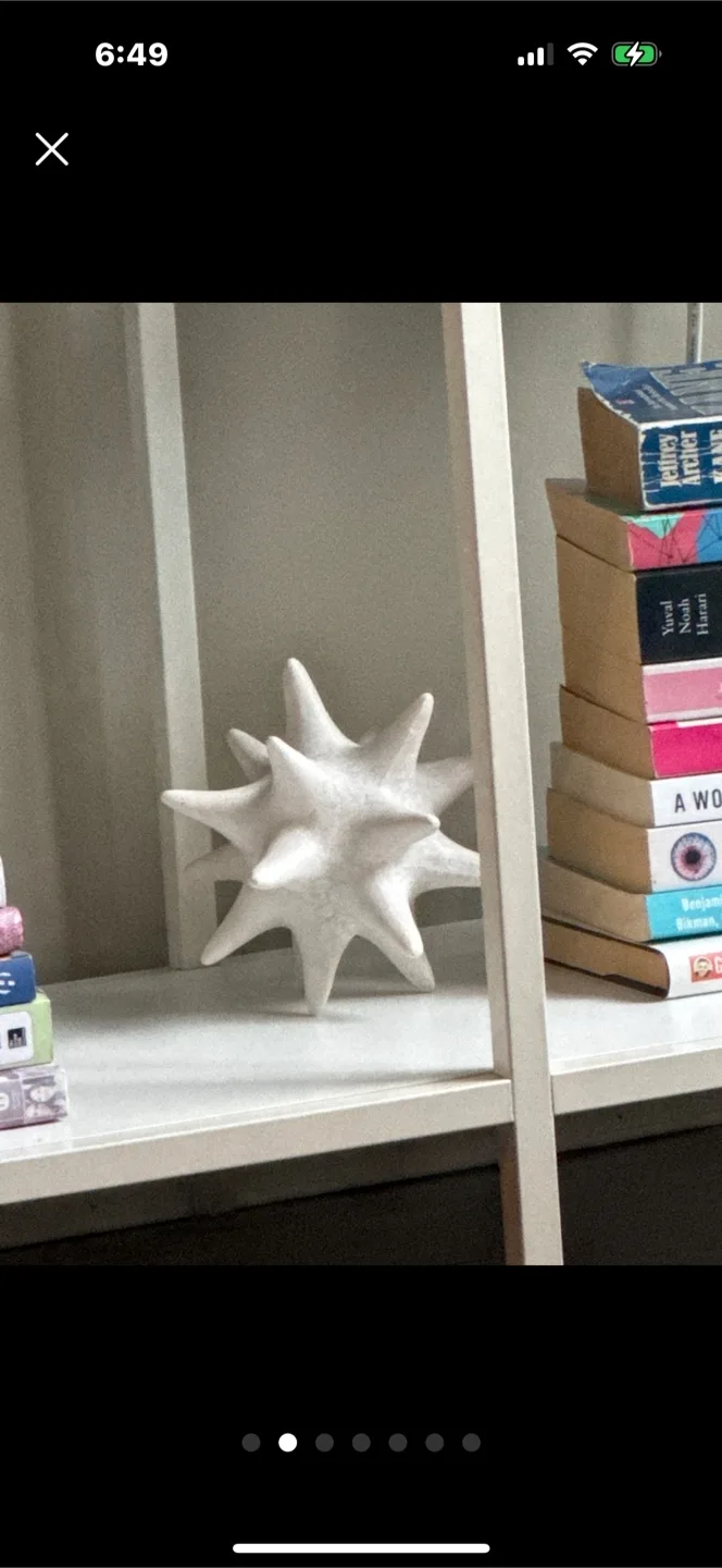 Decorative urchin Ornament thumbnail