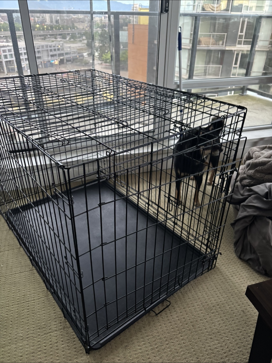 Large Dog Crate - photo 3
