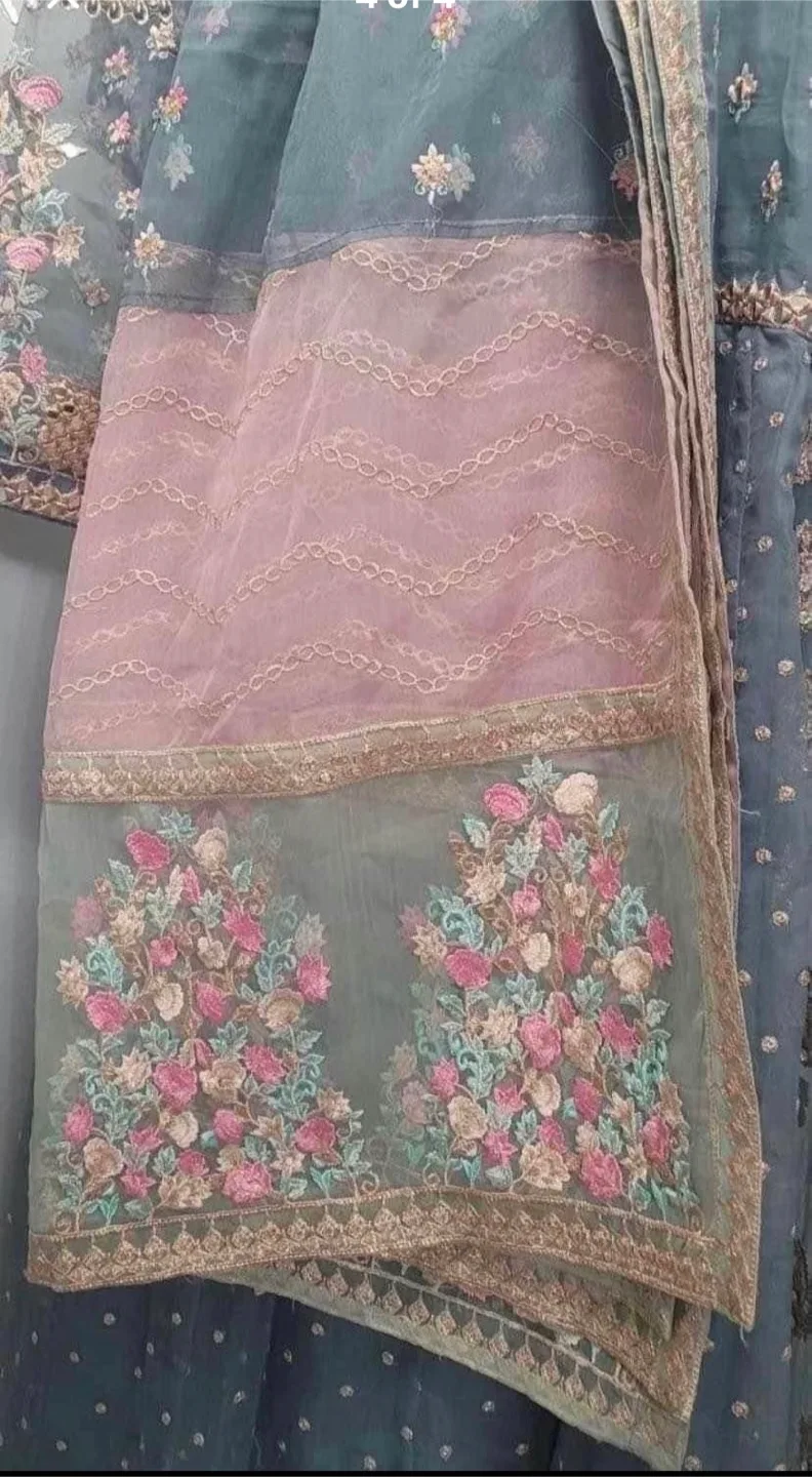 Embroidered party wear Dress image indicator(4)