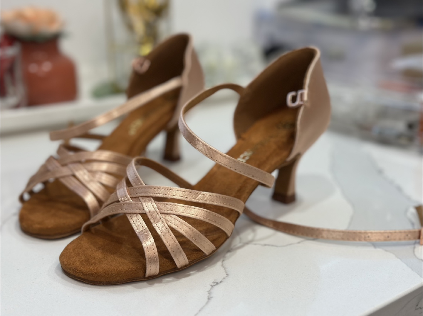 Professional Elegant dance shoes
