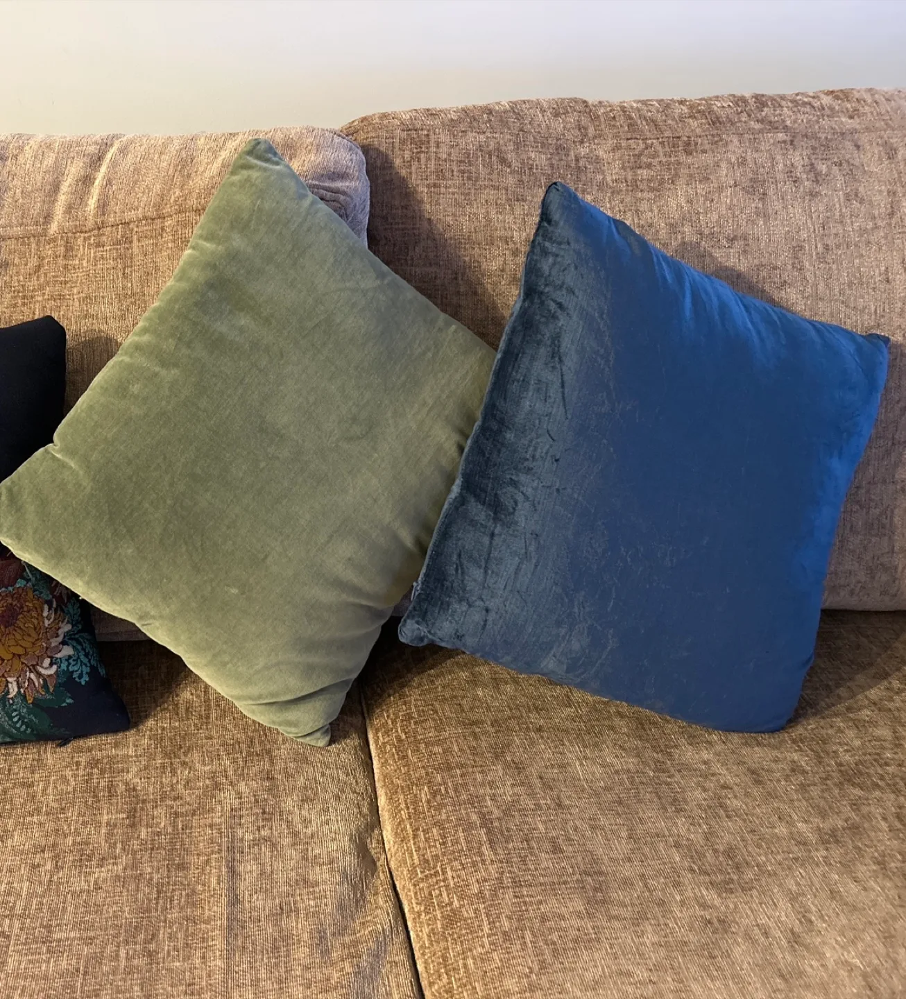Two Decorative Throw Pillows thumbnail