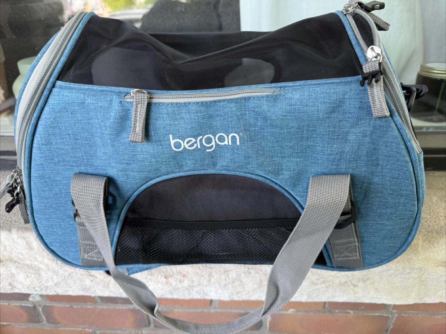 Bergan Pet Carrier