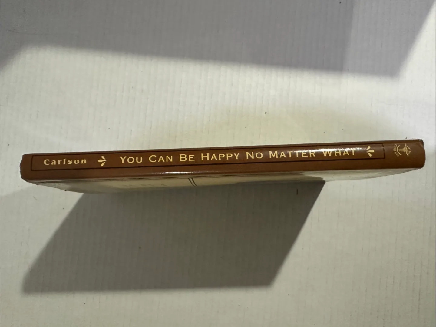 You Can Be Happy No Matter What Book image indicator(5)