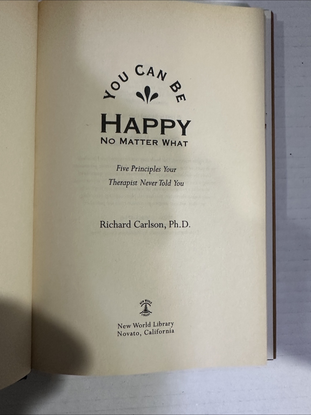You Can Be Happy No Matter What Book - photo 3