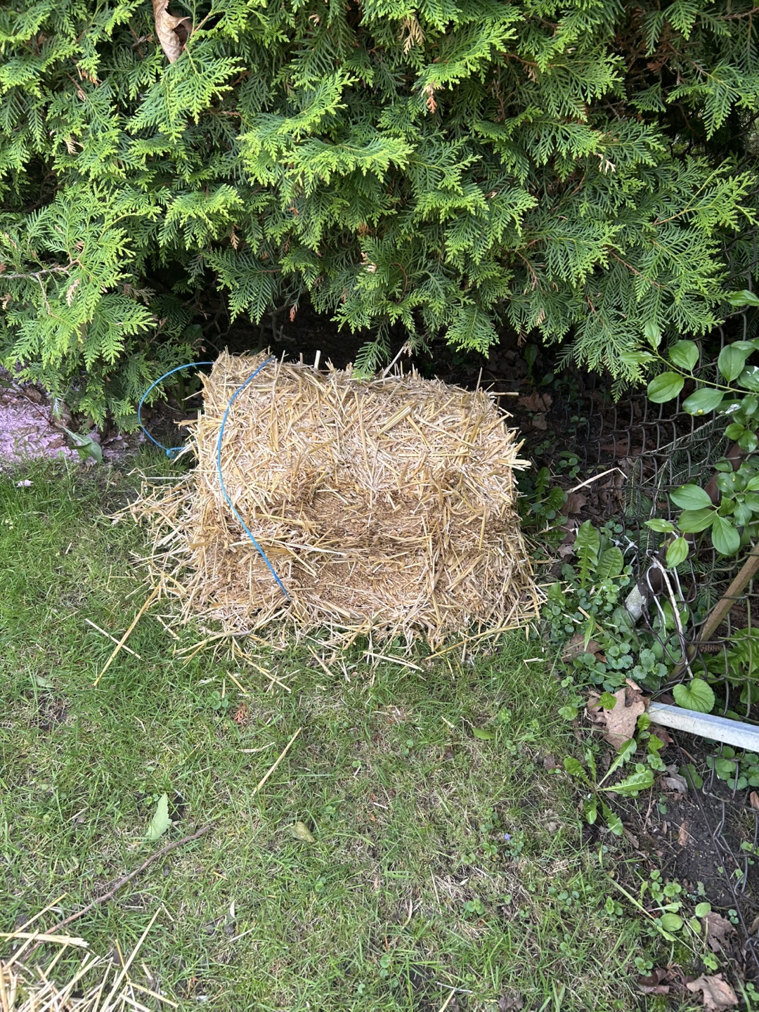 Hay Bale