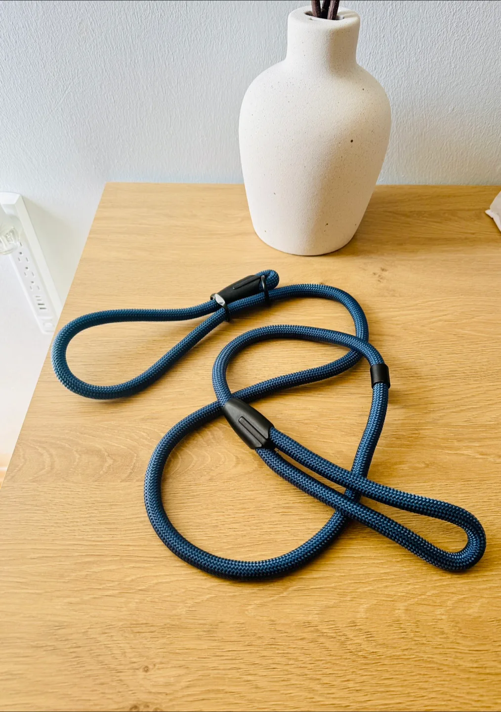 Dog Slip Lead for Leash Training thumbnail