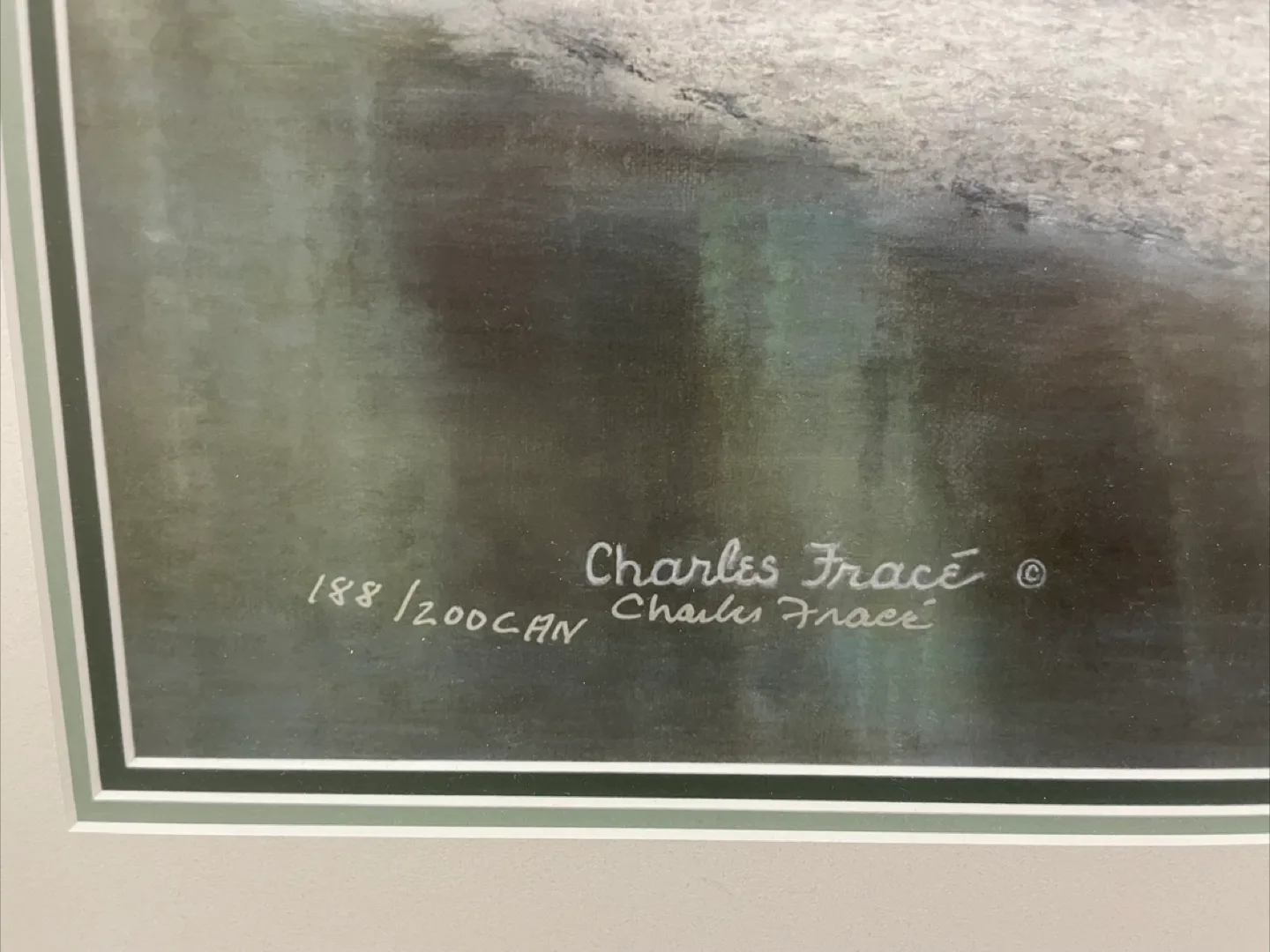 Framed Charles Fracé White Tiger Print image indicator(2)