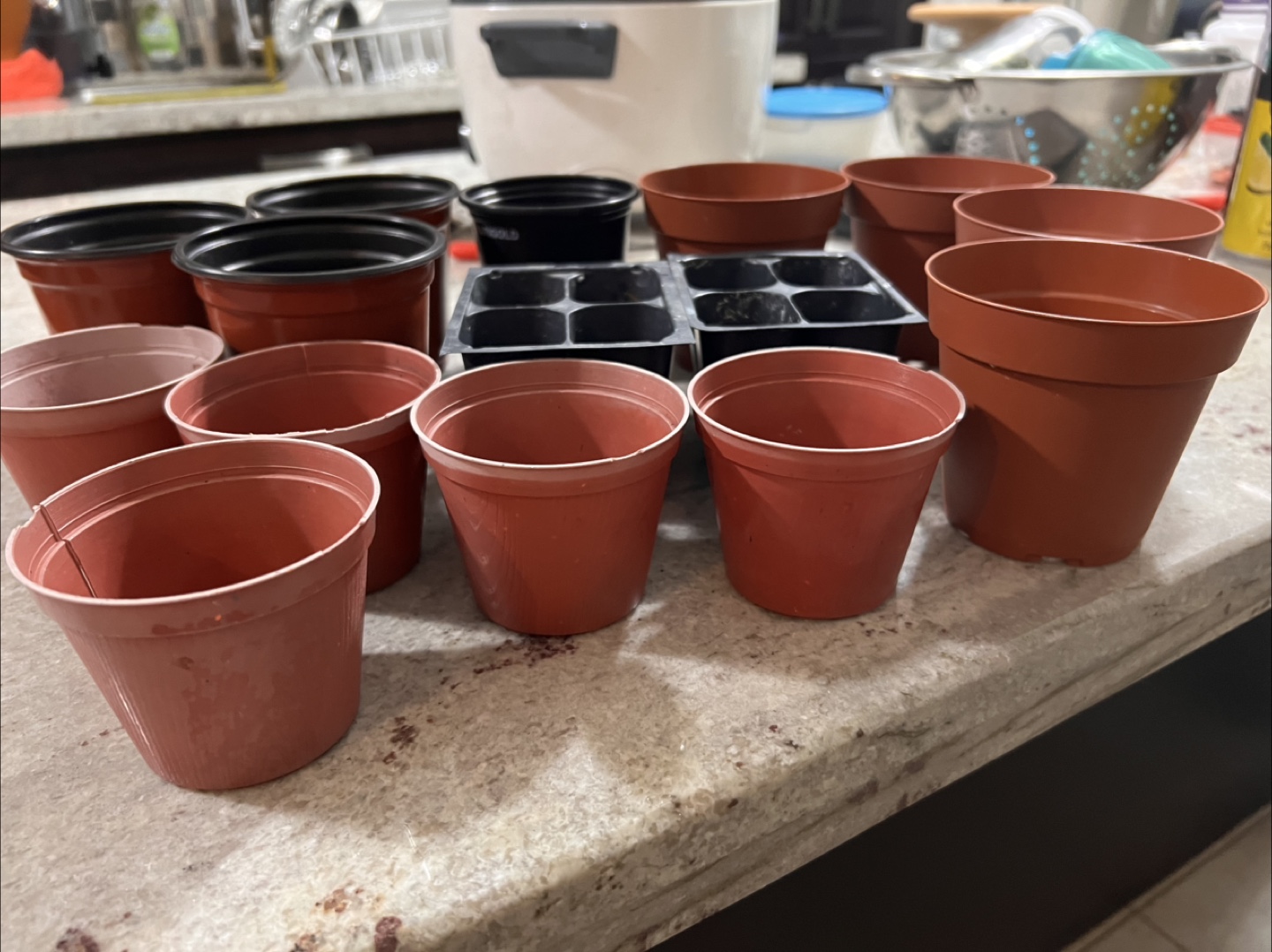 Assorted Plant Pots & Seedling Trays - photo 2