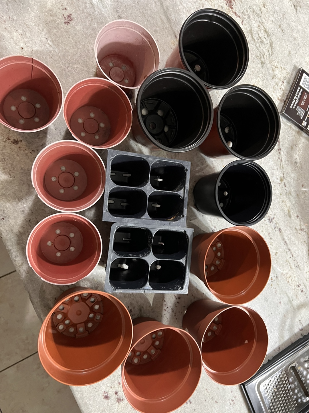 Assorted Plant Pots & Seedling Trays