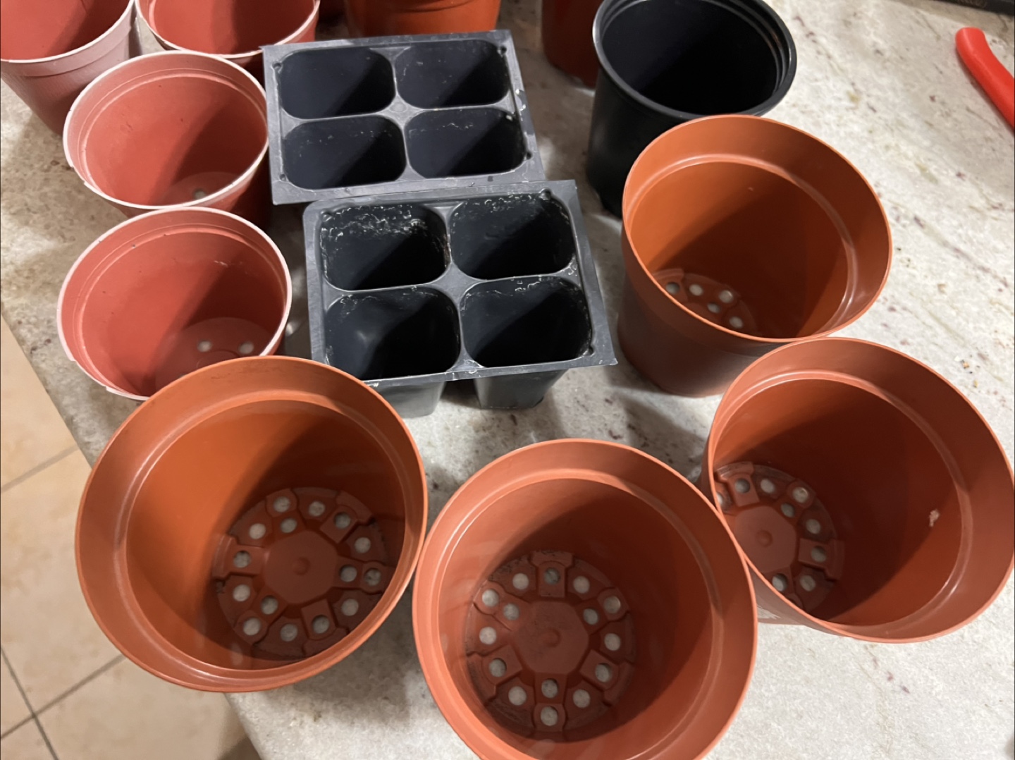 Assorted Plant Pots & Seedling Trays - photo 4