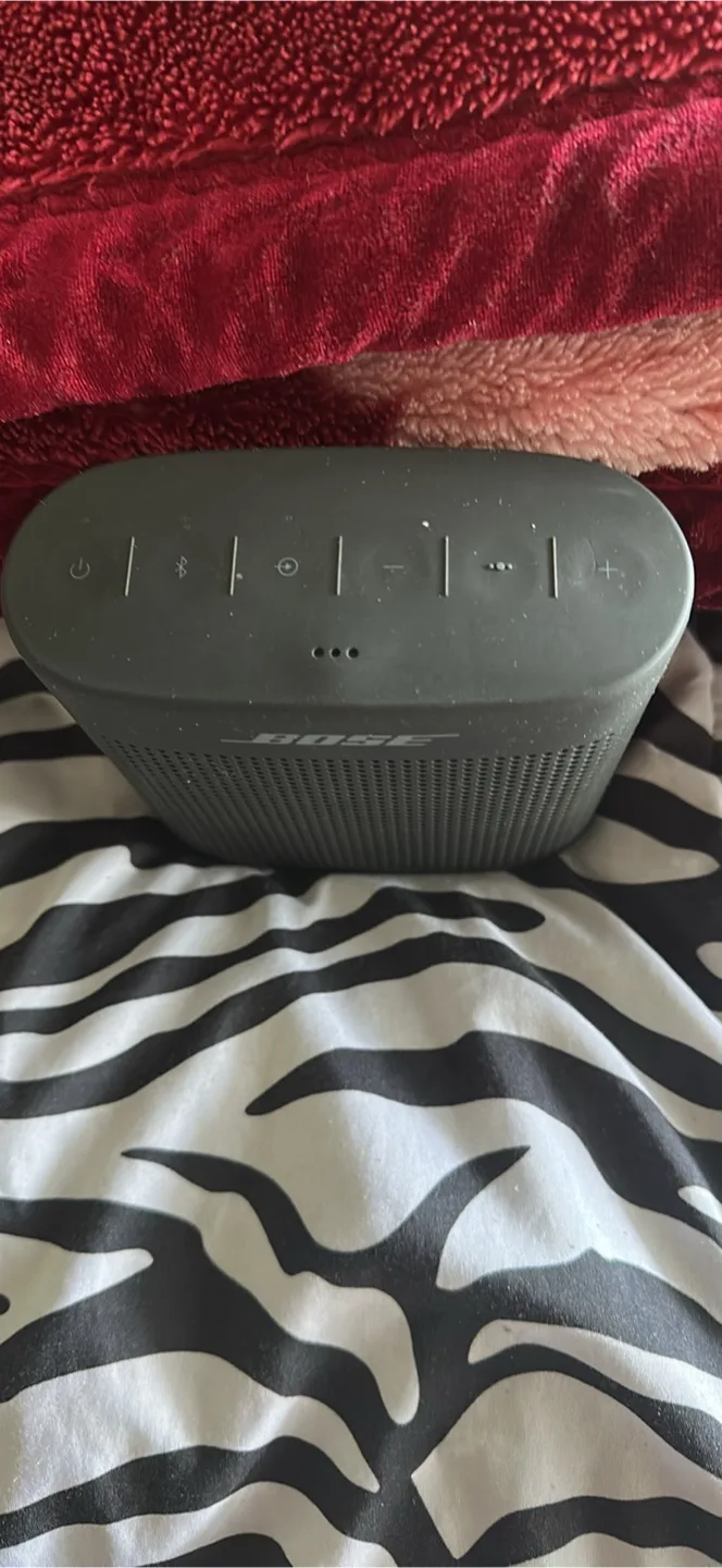 Bose Portable Speaker