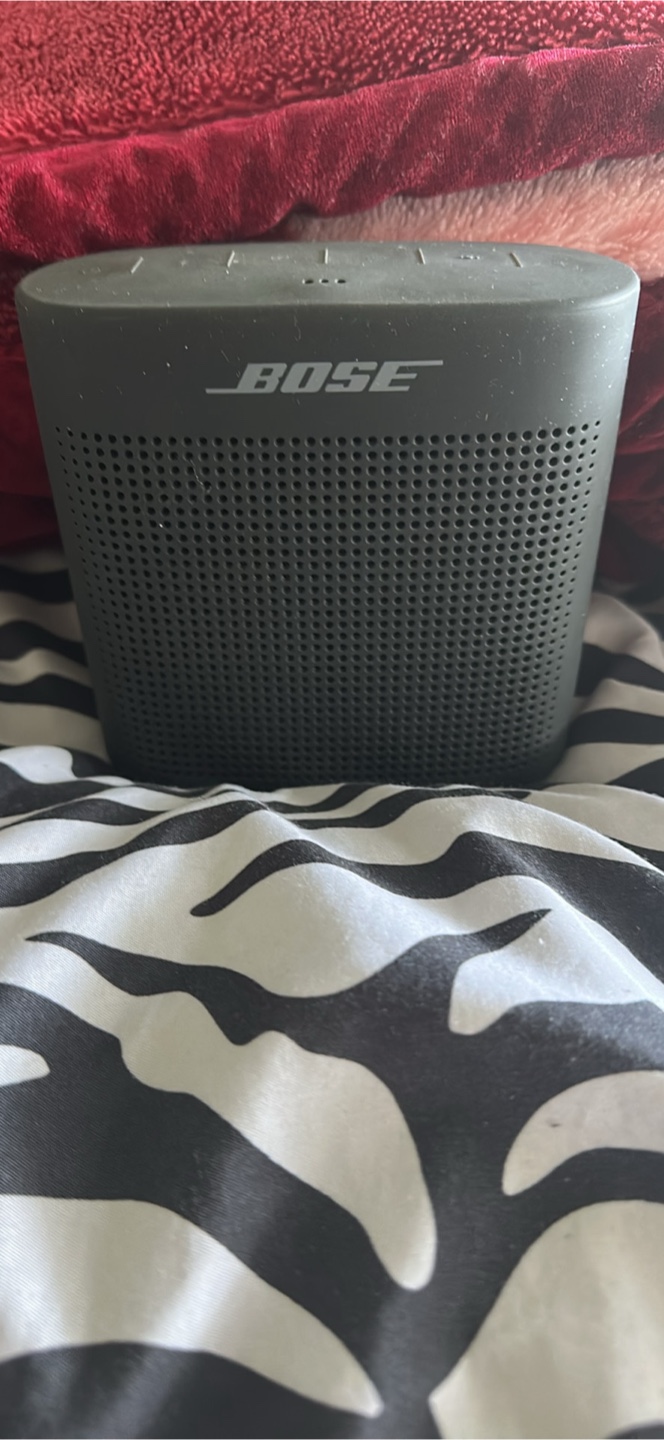 Bose Portable Speaker - photo 2
