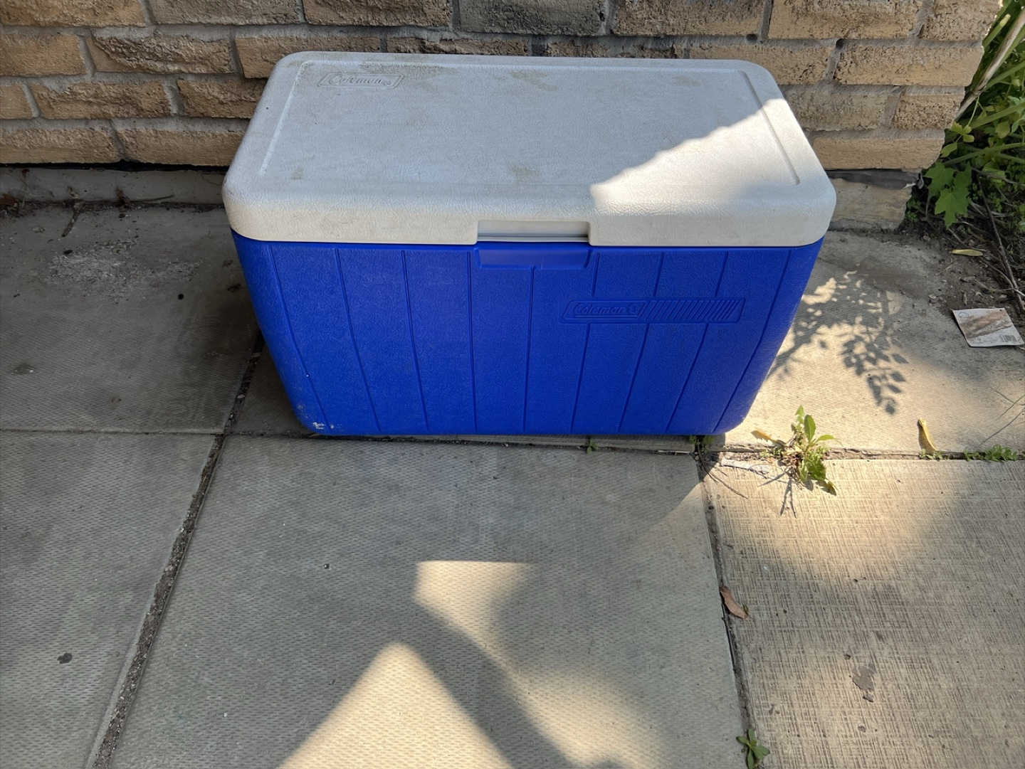Blue and White Cooler