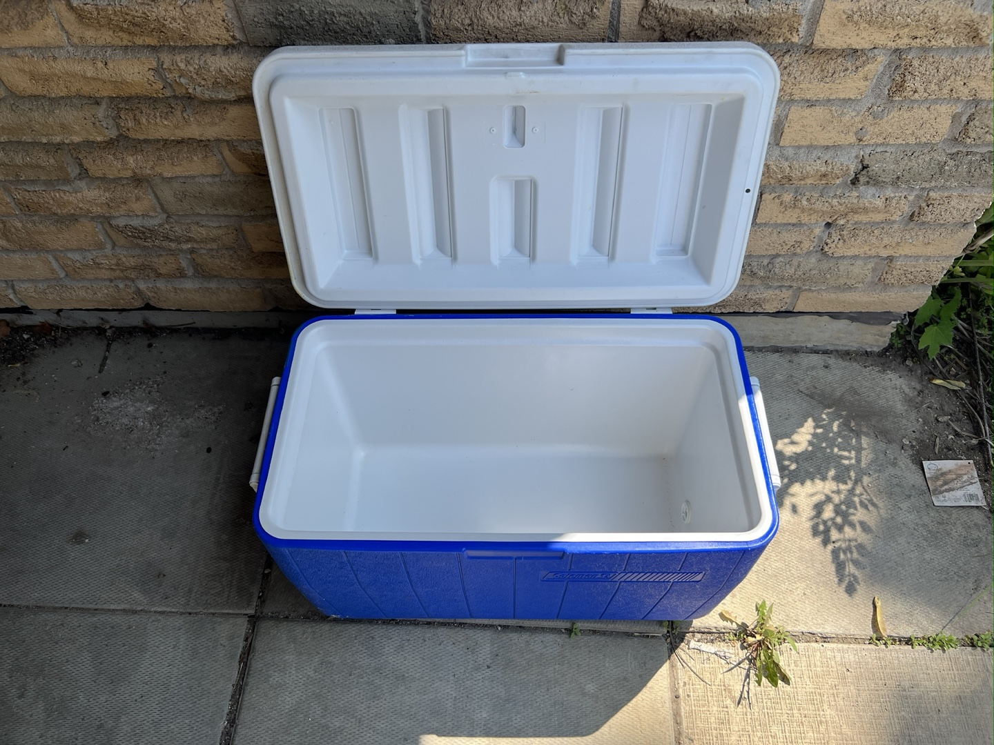 Blue and White Cooler - photo 2
