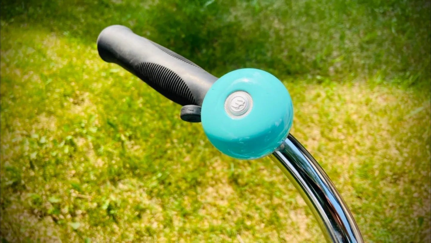 Electra Cruiser Bicycle image indicator(4)