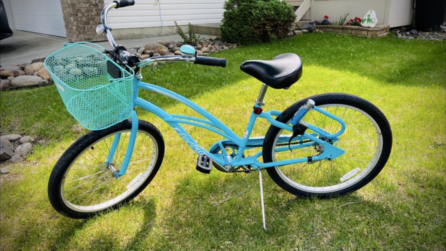 Electra Cruiser Bicycle