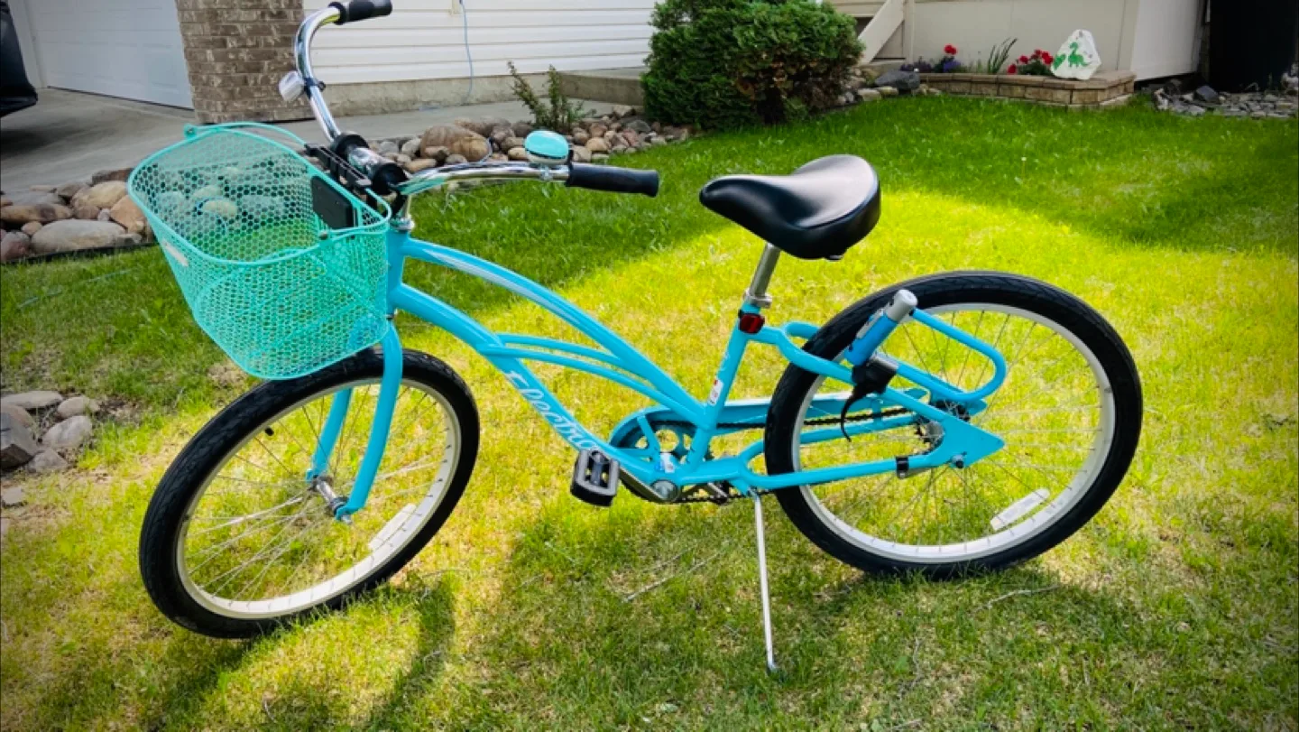 Electra Cruiser Bicycle thumbnail