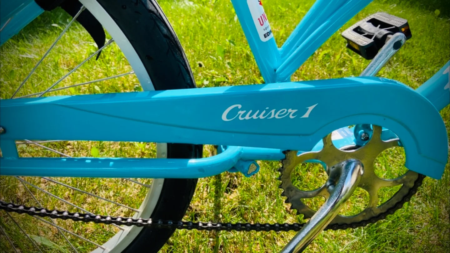 Electra Cruiser Bicycle image indicator(2)