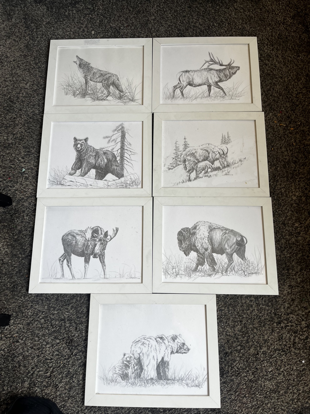 Framed Wildlife Pencil Drawings
