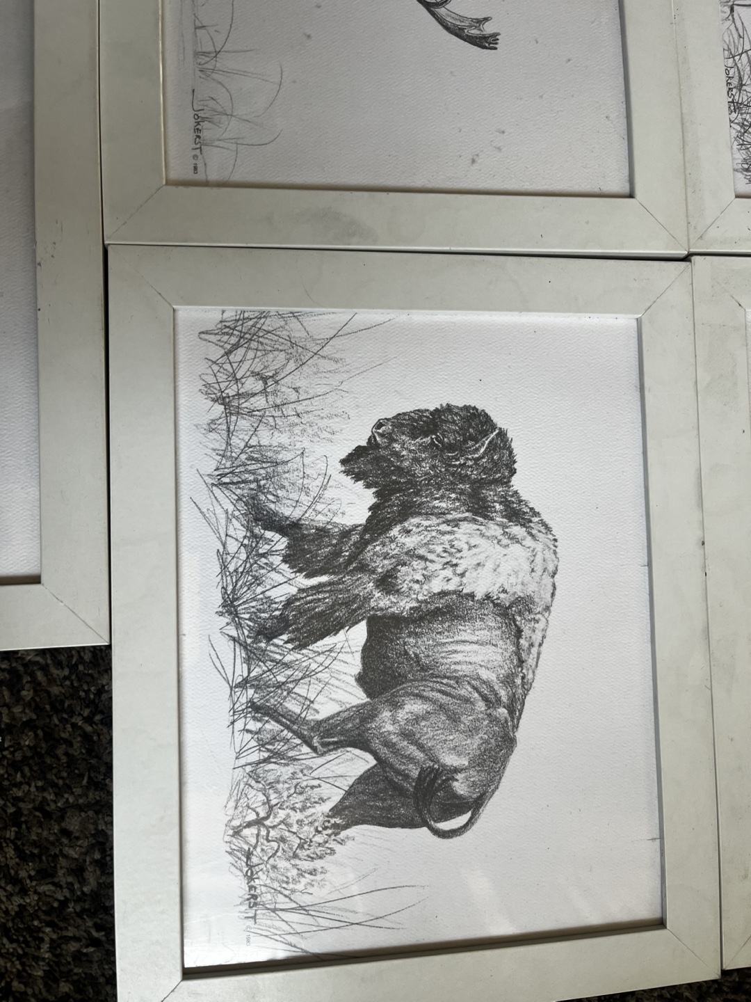 Framed Wildlife Pencil Drawings - photo 2