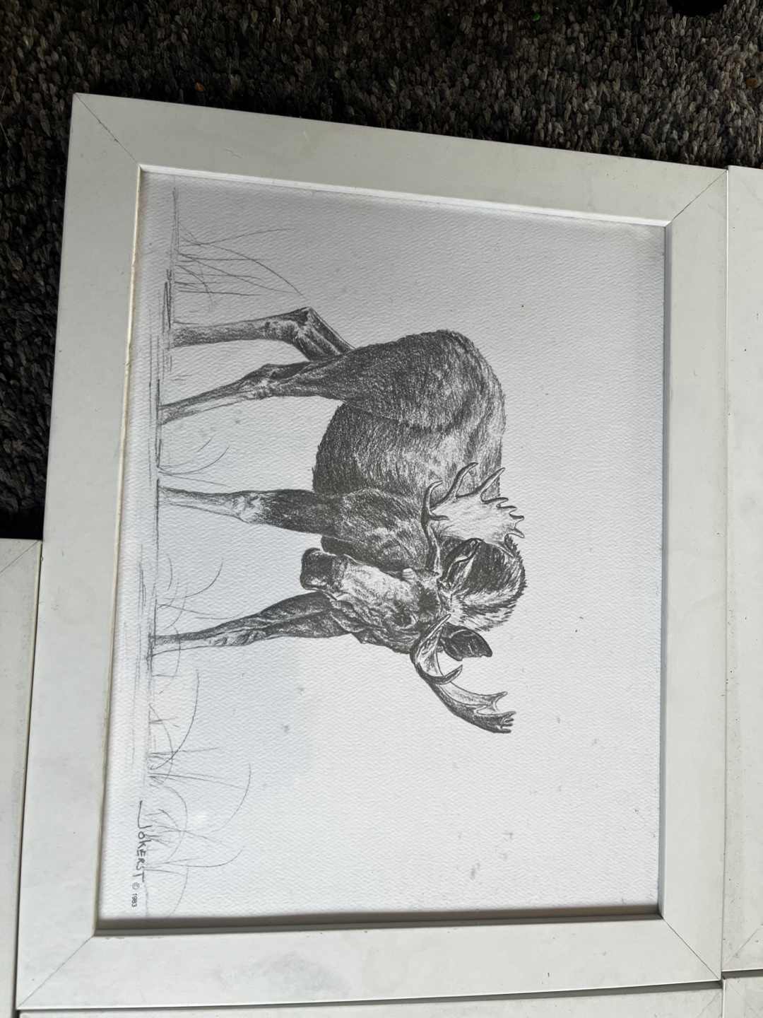 Framed Wildlife Pencil Drawings - photo 3